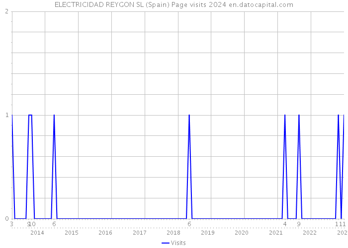 ELECTRICIDAD REYGON SL (Spain) Page visits 2024 
