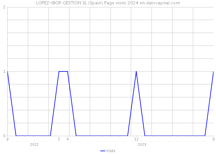 LOPEZ-IBOR GESTION SL (Spain) Page visits 2024 