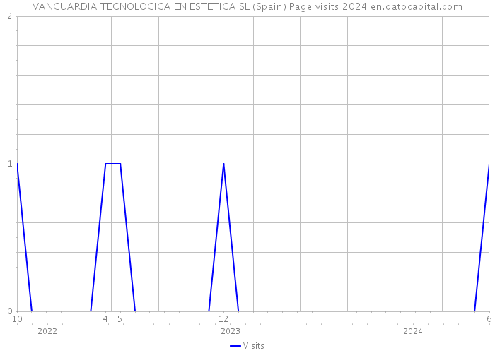 VANGUARDIA TECNOLOGICA EN ESTETICA SL (Spain) Page visits 2024 