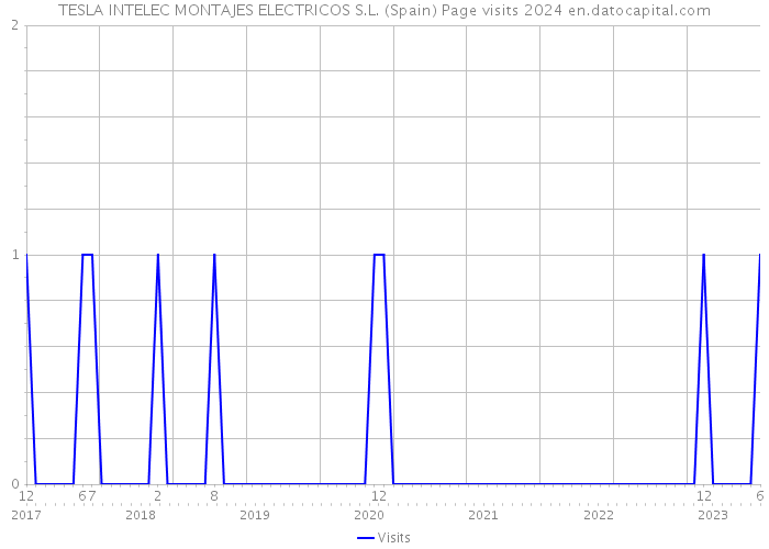 TESLA INTELEC MONTAJES ELECTRICOS S.L. (Spain) Page visits 2024 