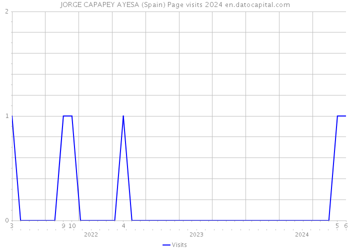 JORGE CAPAPEY AYESA (Spain) Page visits 2024 