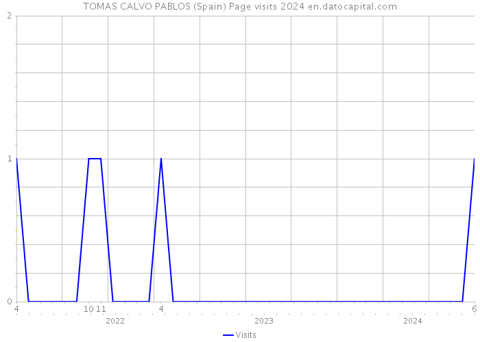 TOMAS CALVO PABLOS (Spain) Page visits 2024 