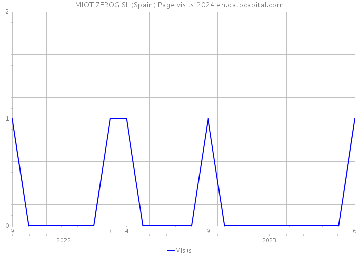 MIOT ZEROG SL (Spain) Page visits 2024 