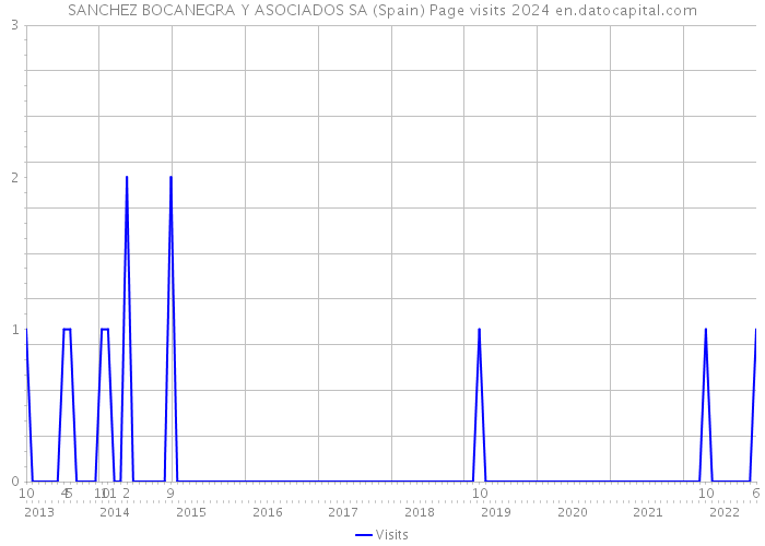 SANCHEZ BOCANEGRA Y ASOCIADOS SA (Spain) Page visits 2024 