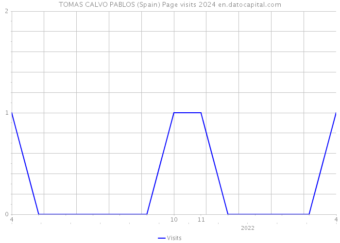 TOMAS CALVO PABLOS (Spain) Page visits 2024 