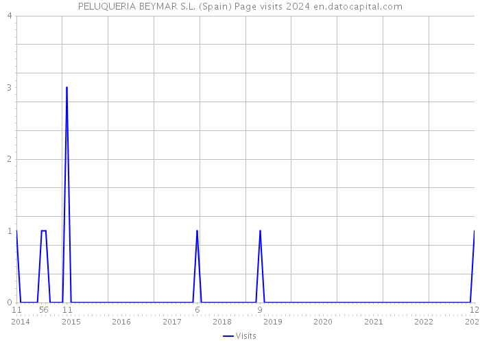 PELUQUERIA BEYMAR S.L. (Spain) Page visits 2024 