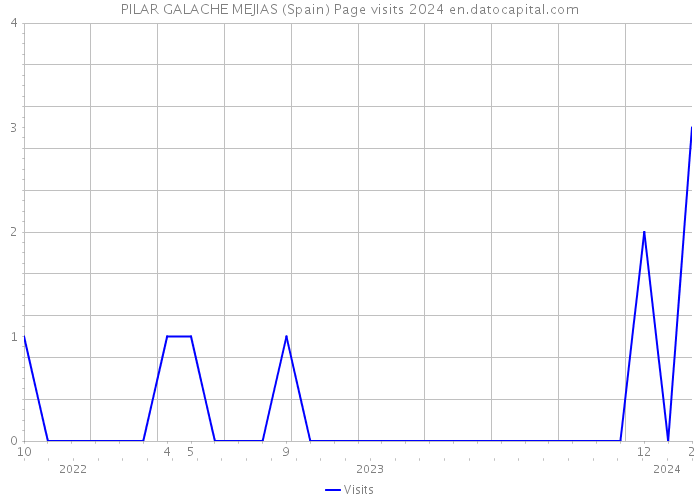 PILAR GALACHE MEJIAS (Spain) Page visits 2024 