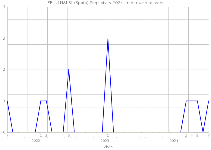 FELIU N&I SL (Spain) Page visits 2024 