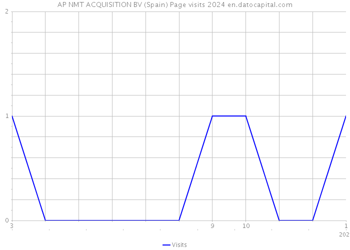 AP NMT ACQUISITION BV (Spain) Page visits 2024 