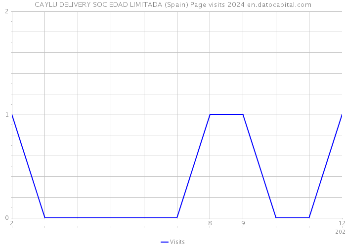 CAYLU DELIVERY SOCIEDAD LIMITADA (Spain) Page visits 2024 