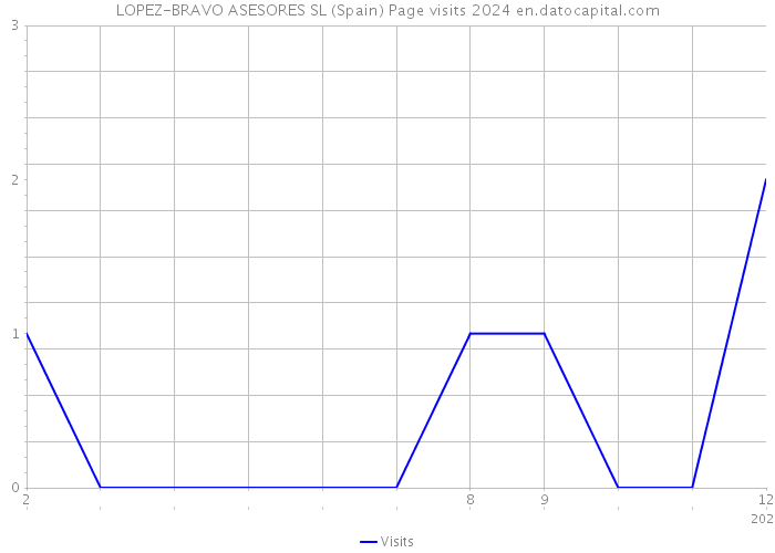 LOPEZ-BRAVO ASESORES SL (Spain) Page visits 2024 
