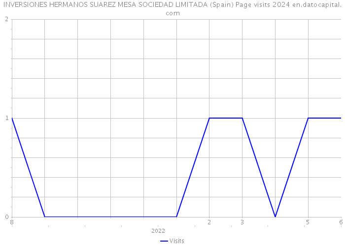 INVERSIONES HERMANOS SUAREZ MESA SOCIEDAD LIMITADA (Spain) Page visits 2024 