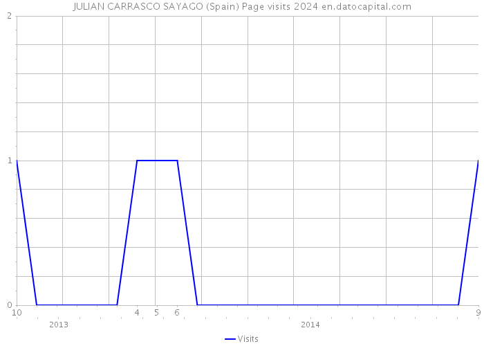 JULIAN CARRASCO SAYAGO (Spain) Page visits 2024 