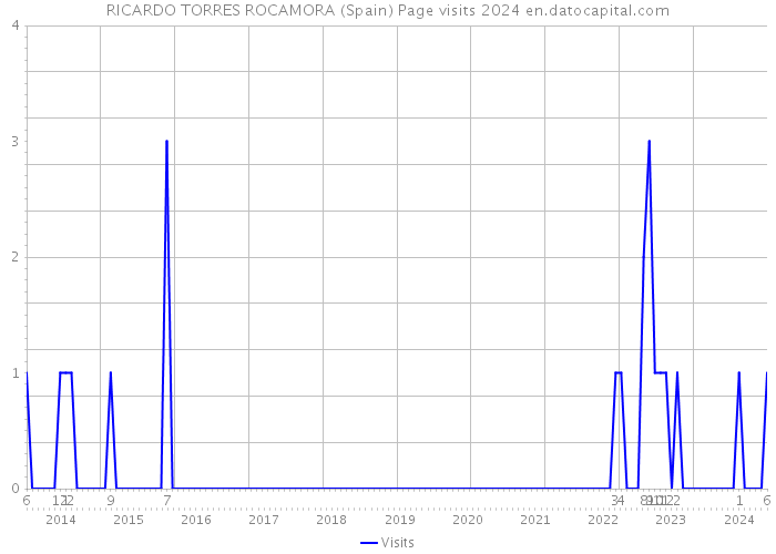 RICARDO TORRES ROCAMORA (Spain) Page visits 2024 