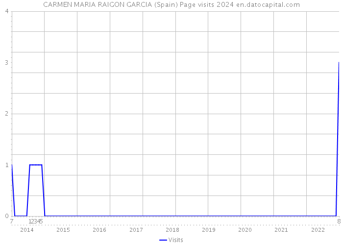 CARMEN MARIA RAIGON GARCIA (Spain) Page visits 2024 