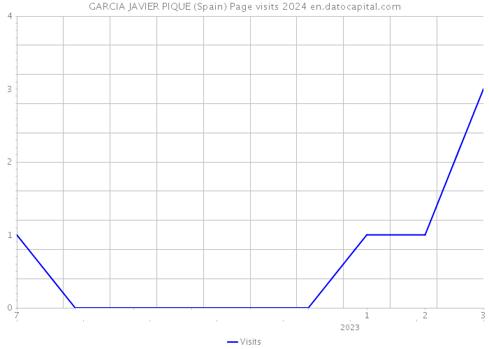 GARCIA JAVIER PIQUE (Spain) Page visits 2024 