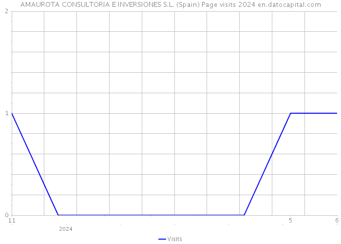 AMAUROTA CONSULTORIA E INVERSIONES S.L. (Spain) Page visits 2024 