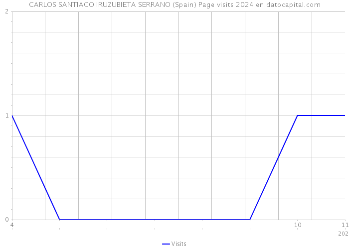 CARLOS SANTIAGO IRUZUBIETA SERRANO (Spain) Page visits 2024 