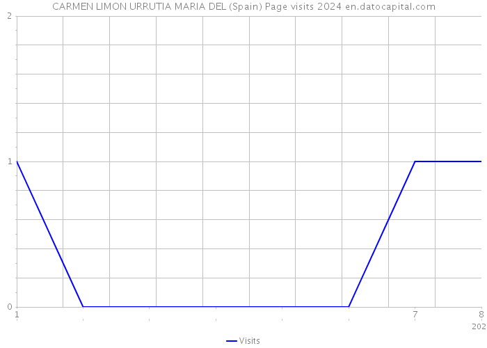 CARMEN LIMON URRUTIA MARIA DEL (Spain) Page visits 2024 