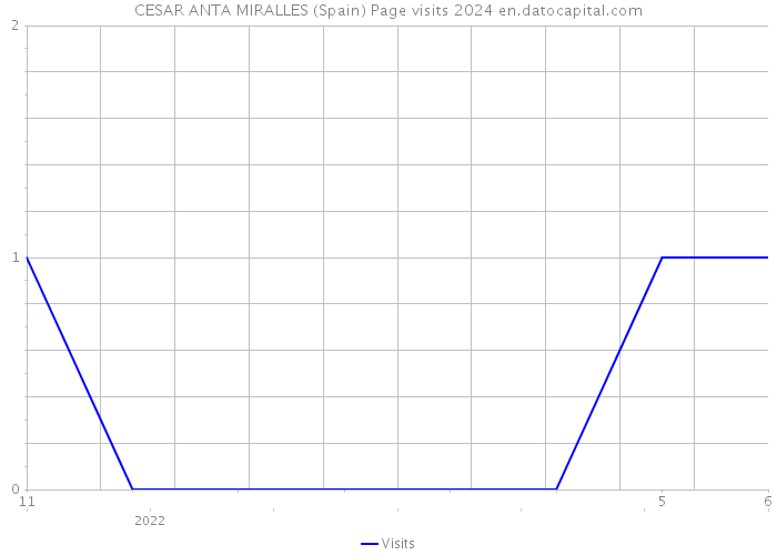 CESAR ANTA MIRALLES (Spain) Page visits 2024 