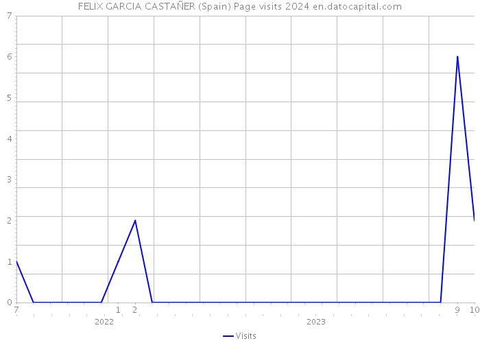 FELIX GARCIA CASTAÑER (Spain) Page visits 2024 