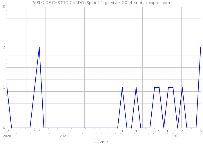 PABLO DE CASTRO CARDO (Spain) Page visits 2024 