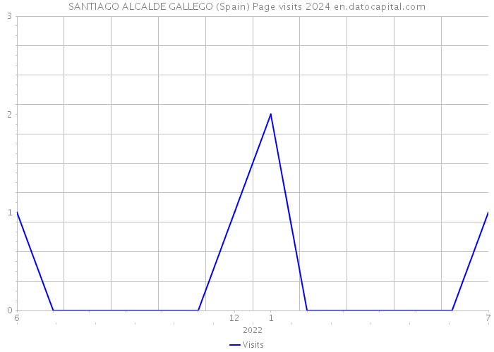 SANTIAGO ALCALDE GALLEGO (Spain) Page visits 2024 