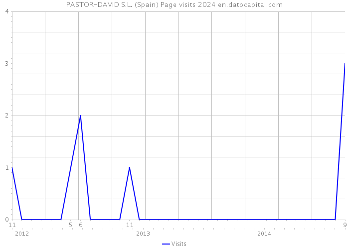 PASTOR-DAVID S.L. (Spain) Page visits 2024 