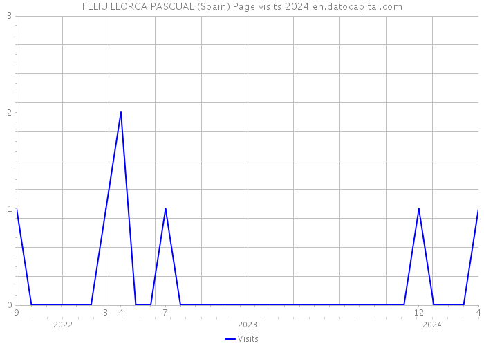 FELIU LLORCA PASCUAL (Spain) Page visits 2024 