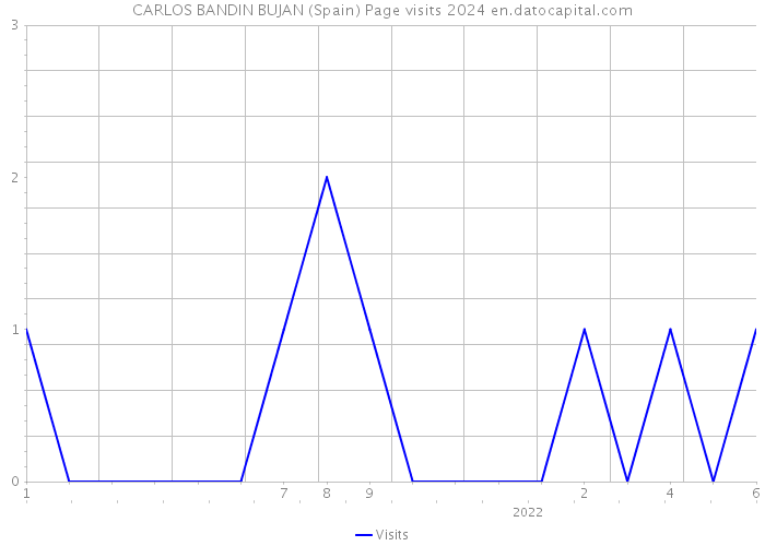 CARLOS BANDIN BUJAN (Spain) Page visits 2024 