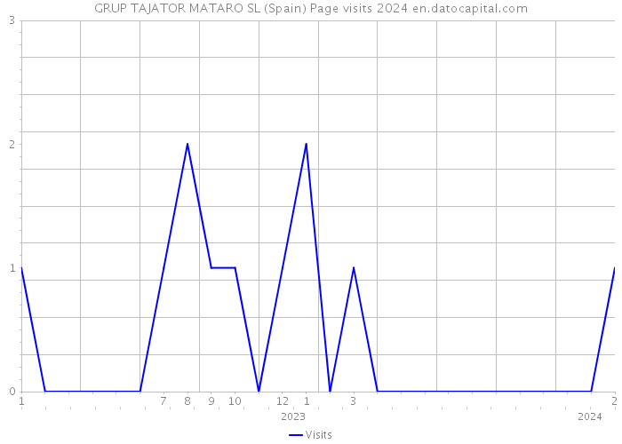 GRUP TAJATOR MATARO SL (Spain) Page visits 2024 