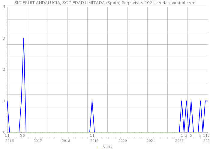 BIO FRUIT ANDALUCIA, SOCIEDAD LIMITADA (Spain) Page visits 2024 