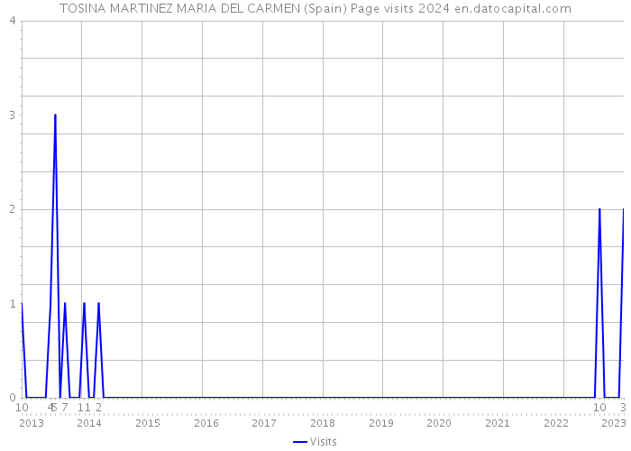 TOSINA MARTINEZ MARIA DEL CARMEN (Spain) Page visits 2024 