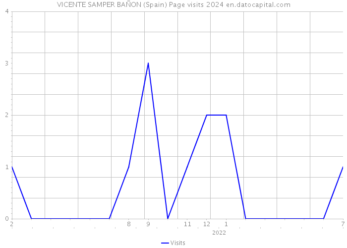 VICENTE SAMPER BAÑON (Spain) Page visits 2024 