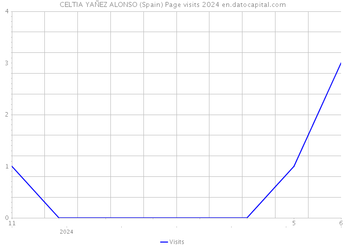 CELTIA YAÑEZ ALONSO (Spain) Page visits 2024 