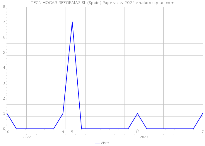 TECNIHOGAR REFORMAS SL (Spain) Page visits 2024 