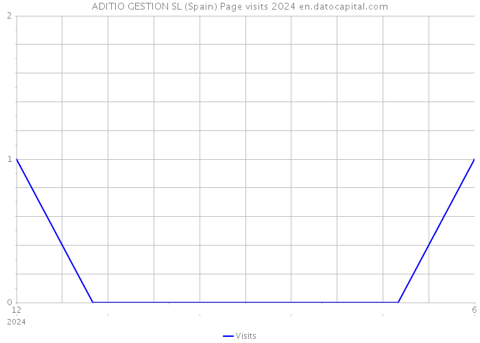 ADITIO GESTION SL (Spain) Page visits 2024 