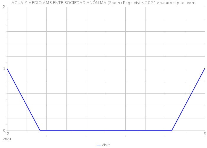 AGUA Y MEDIO AMBIENTE SOCIEDAD ANÓNIMA (Spain) Page visits 2024 