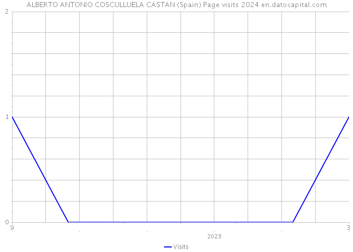 ALBERTO ANTONIO COSCULLUELA CASTAN (Spain) Page visits 2024 