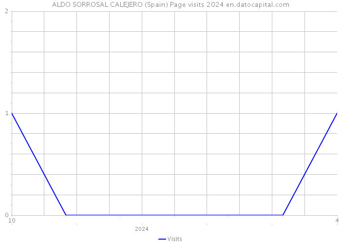 ALDO SORROSAL CALEJERO (Spain) Page visits 2024 