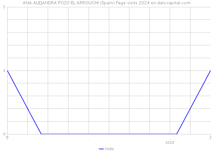 ANA ALEJANDRA POZO EL ARROUCHI (Spain) Page visits 2024 