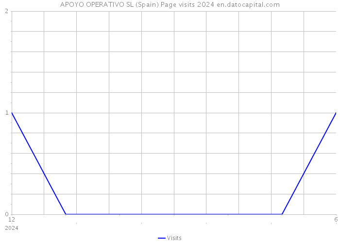 APOYO OPERATIVO SL (Spain) Page visits 2024 