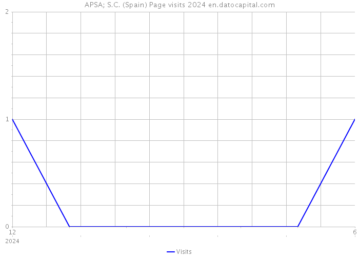 APSA; S.C. (Spain) Page visits 2024 