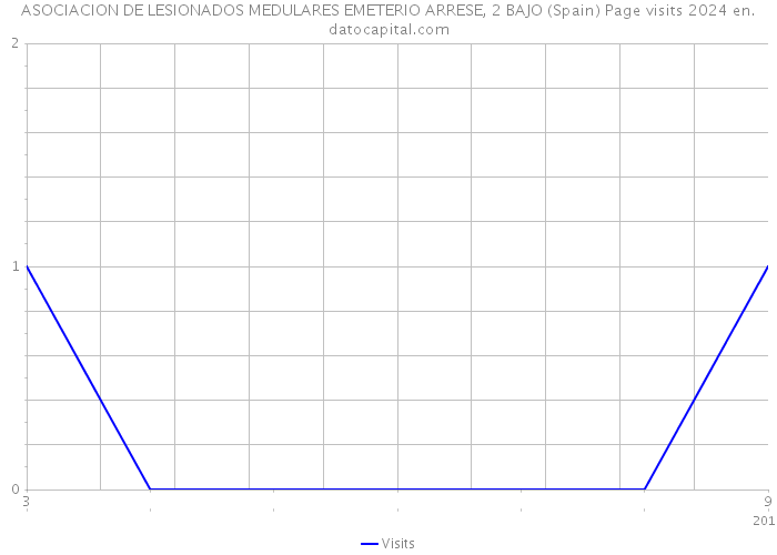 ASOCIACION DE LESIONADOS MEDULARES EMETERIO ARRESE, 2 BAJO (Spain) Page visits 2024 