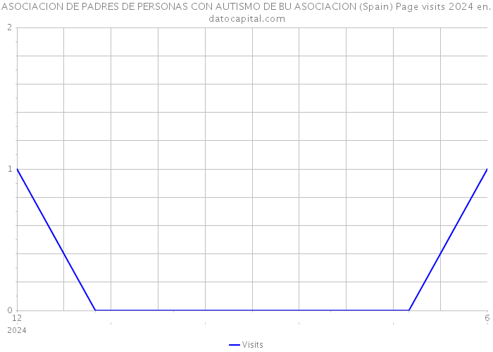 ASOCIACION DE PADRES DE PERSONAS CON AUTISMO DE BU ASOCIACION (Spain) Page visits 2024 