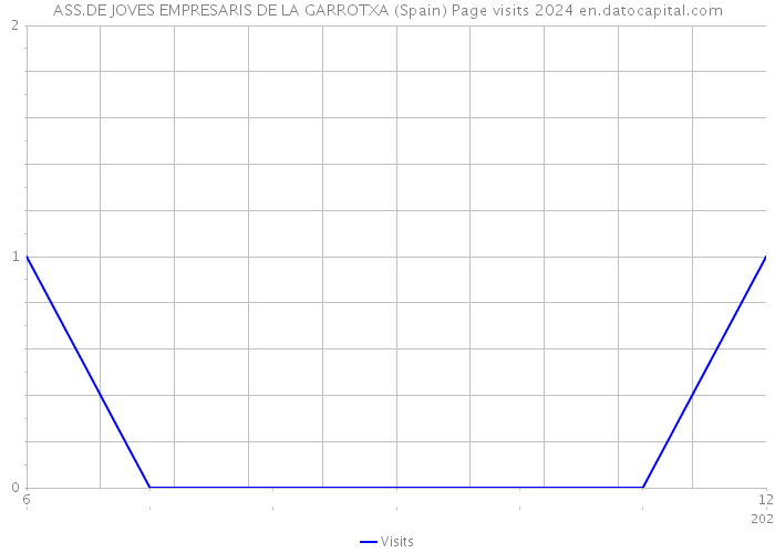 ASS.DE JOVES EMPRESARIS DE LA GARROTXA (Spain) Page visits 2024 