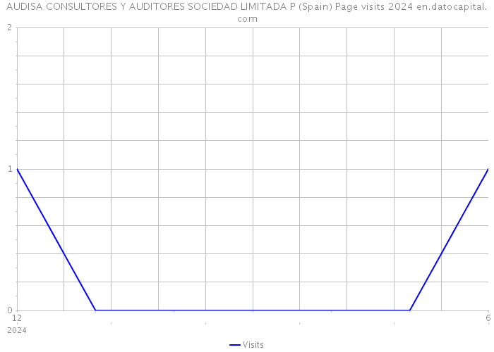 AUDISA CONSULTORES Y AUDITORES SOCIEDAD LIMITADA P (Spain) Page visits 2024 