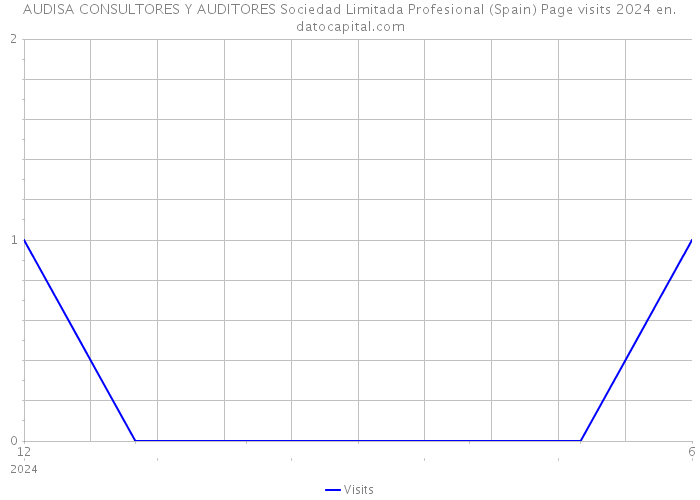 AUDISA CONSULTORES Y AUDITORES Sociedad Limitada Profesional (Spain) Page visits 2024 