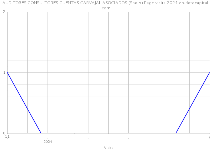 AUDITORES CONSULTORES CUENTAS CARVAJAL ASOCIADOS (Spain) Page visits 2024 