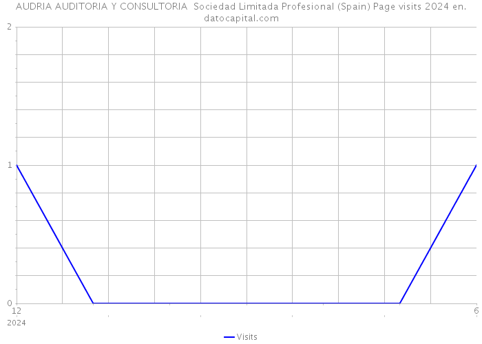AUDRIA AUDITORIA Y CONSULTORIA Sociedad Limitada Profesional (Spain) Page visits 2024 